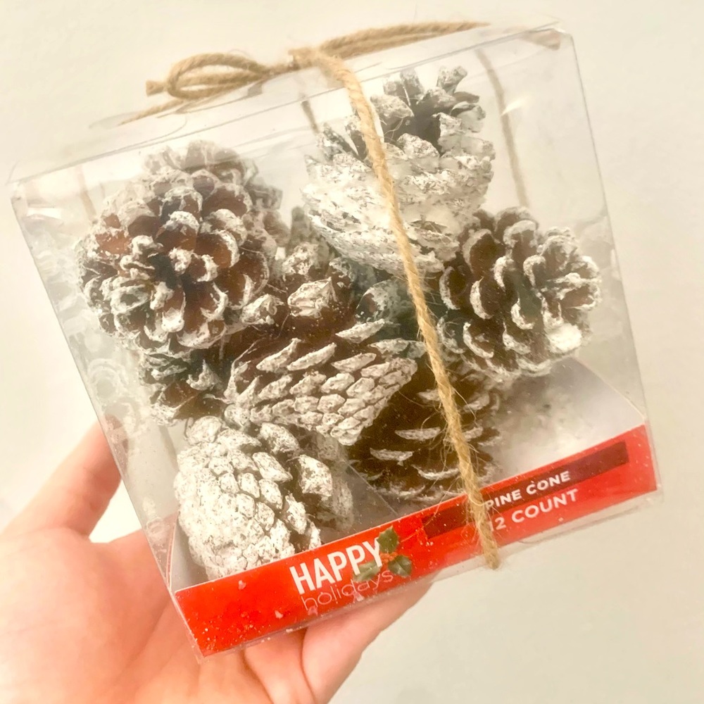 Christmas decorations Pine cones